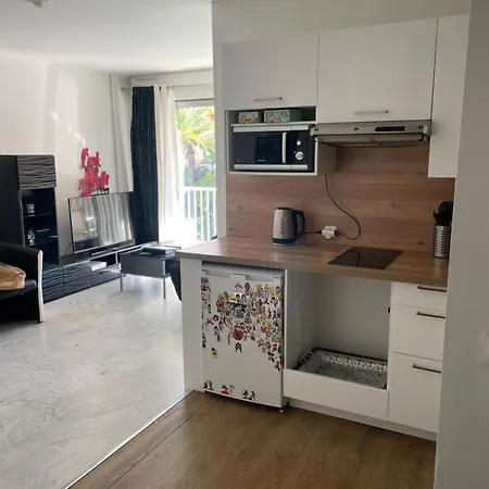 Petit Deux Pieces Avec Piscine Vallauris